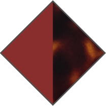 RED / BROWN HAVANA