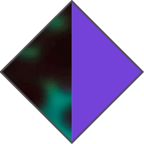 GREEN HAVANA / PURPLE