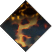 GRADIENT HAVANA - GRADIENT DARK BROWN LENS