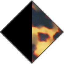 BLACK / YELLOW HAVANA