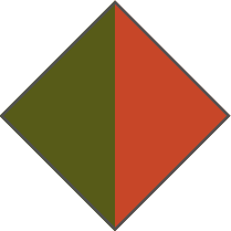 OLIVE GREEN / ORANGE