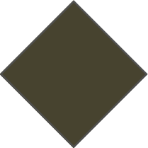 OLIVE GREEN - PHOTOCHROMIC LAVENDER LENS