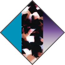 TURQUOISE/PINK TORTOISE/GRAIDENT PURPLE-LIGHT GREY