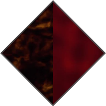BROWN TORTOISE / DARK RED - brown lens
