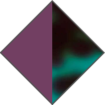 PURPLE / GREEN HAVANA - photochromic plain lilac lens