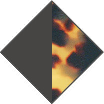 DARK GREY / BROWN HAVANA - plain grey lens